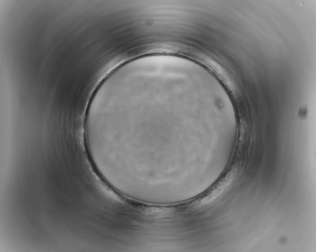 X0000103160802200809192052