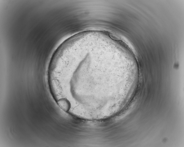 X0000103160803200809192052