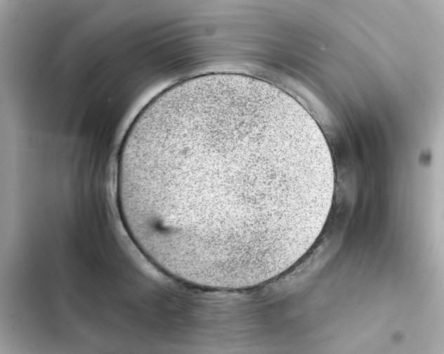 X0000103160804200809192052