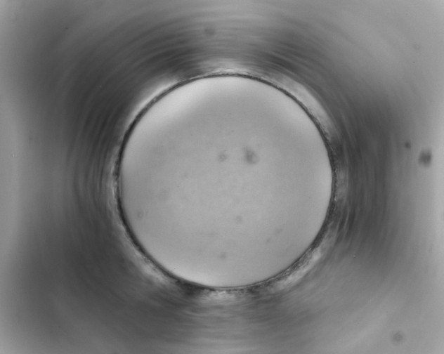 X0000103160806200809192052