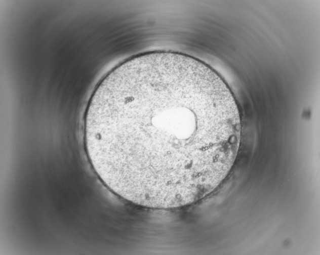 X0000103160807200809192052