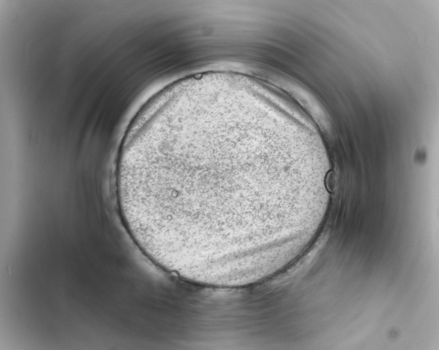 X0000103160808200809192052