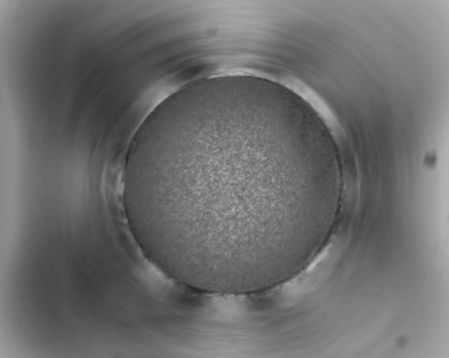 X0000103160809200809192052