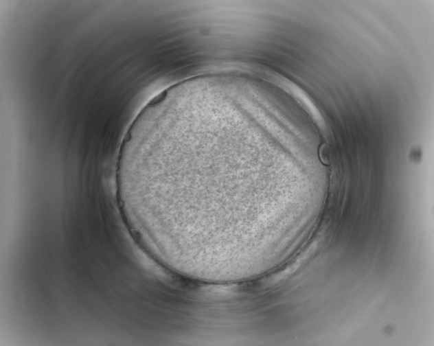 X0000103160810200809192052