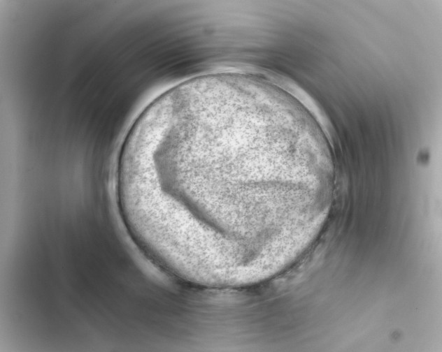 X0000103160811200809192052