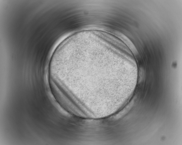 X0000103160812200809192052