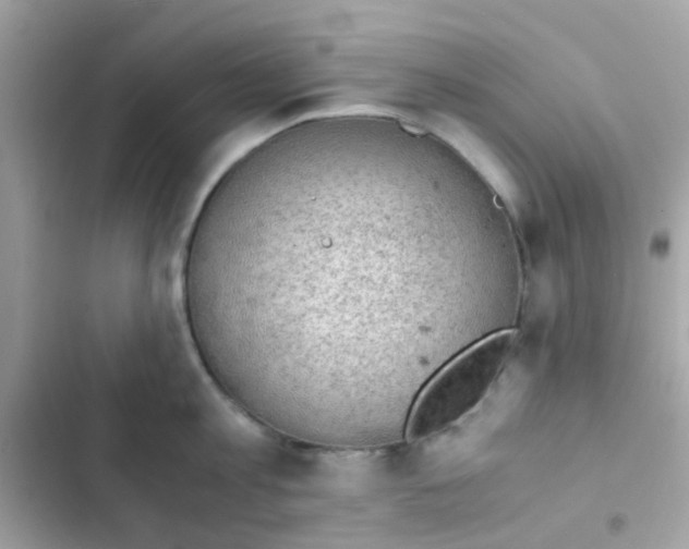 X0000103160813200809192052