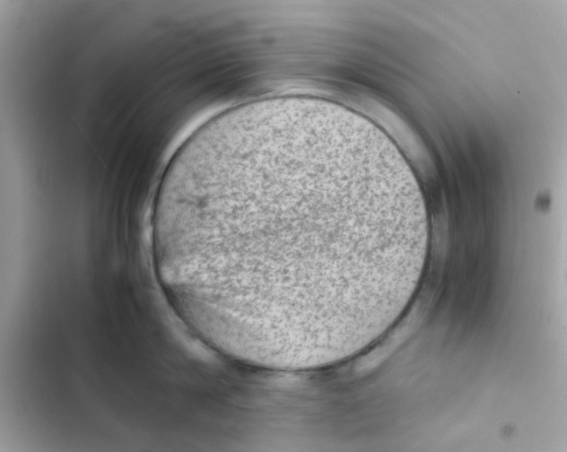 X0000103160814200809192052