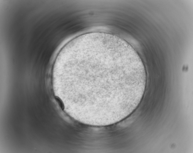 X0000103160816200809192052