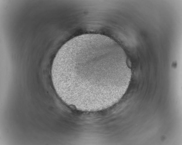 X0000103160817200809192051