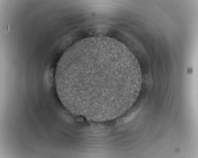 X0000103160818200809192051