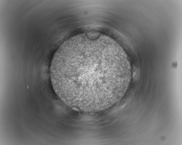 X0000103160819200809192051