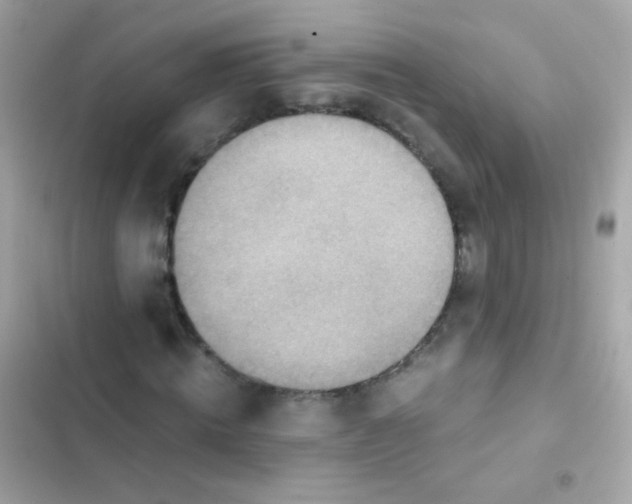 X0000103160820200809192051