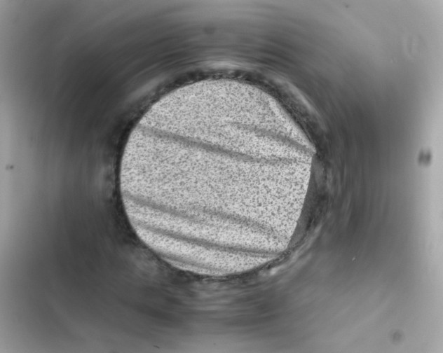 X0000103160821200809192051