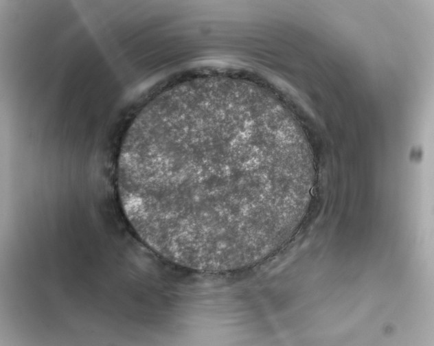 X0000103160822200809192051