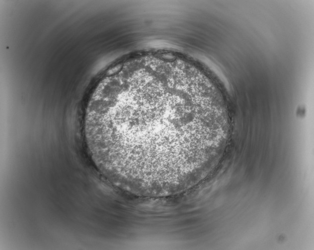 X0000103160823200809192051