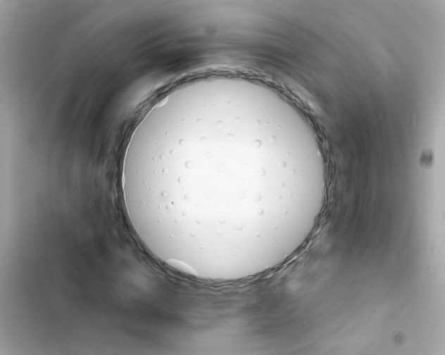 X0000103160824200809192051