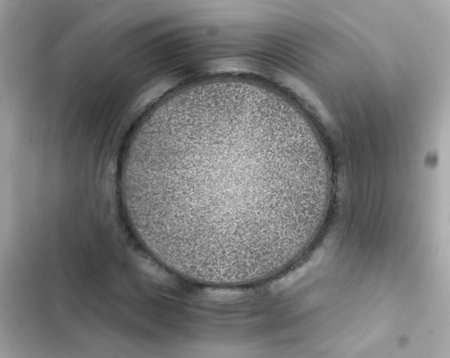 X0000103160825200809192051