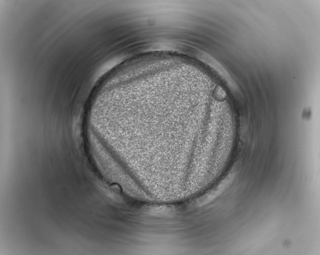 X0000103160826200809192051