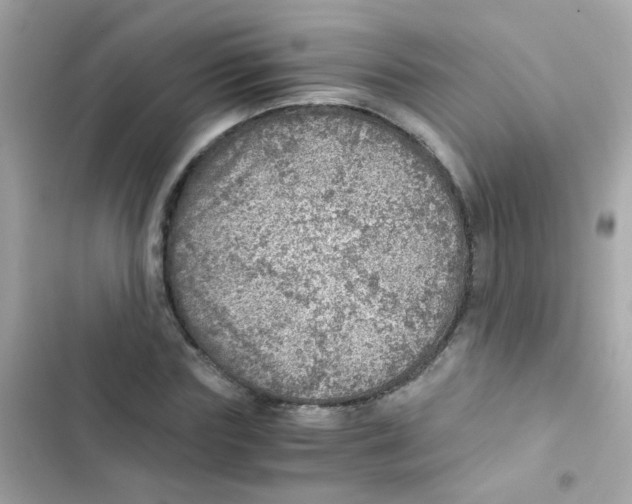 X0000103160827200809192051