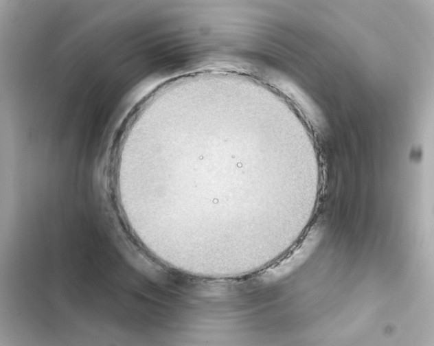 X0000103160828200809192051
