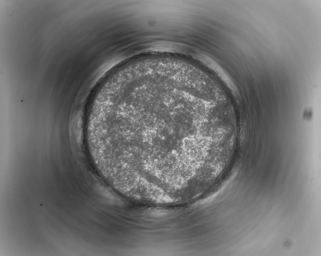 X0000103160829200809192051