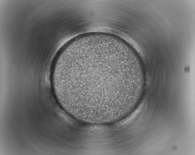 X0000103160830200809192051