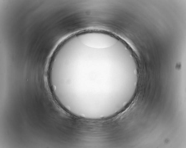 X0000103160832200809192051