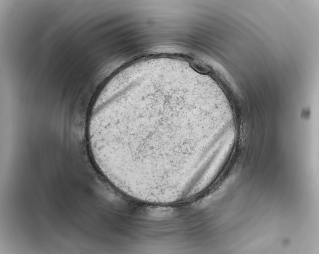 X0000103160833200809192051