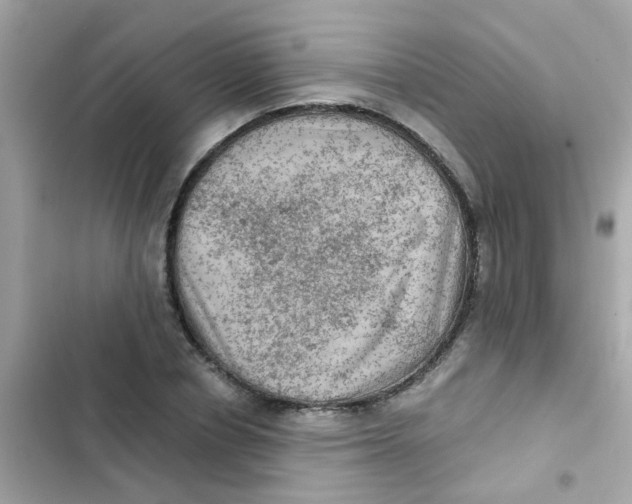 X0000103160834200809192051