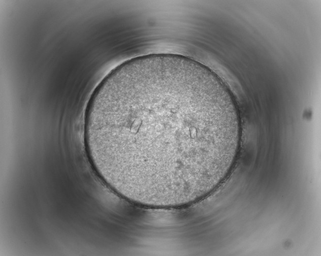 X0000103160836200809192051