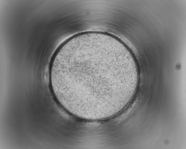 X0000103160838200809192051