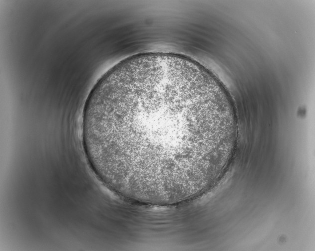 X0000103160839200809192051