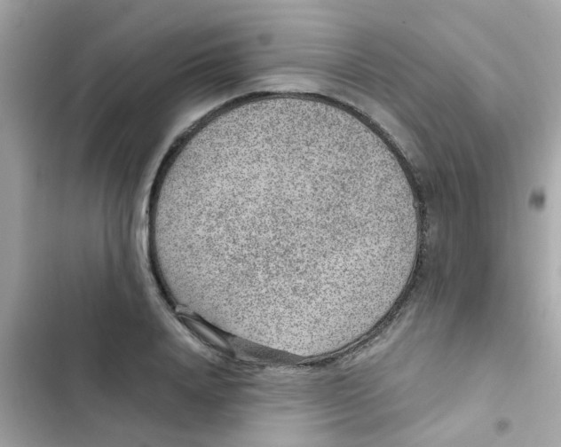 X0000103160840200809192051