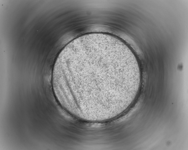 X0000103160841200809192052