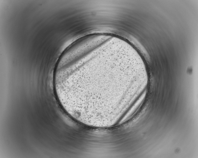 X0000103160842200809192052