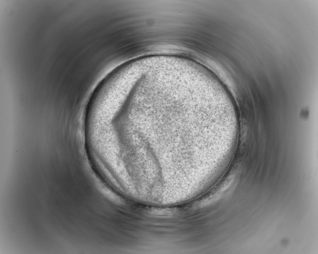 X0000103160843200809192052