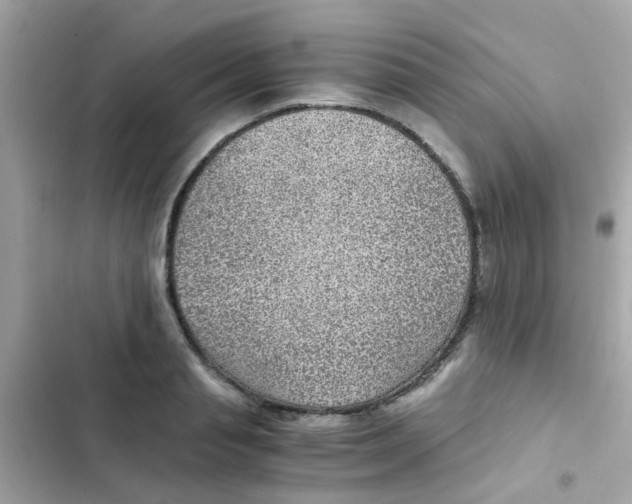 X0000103160845200809192052