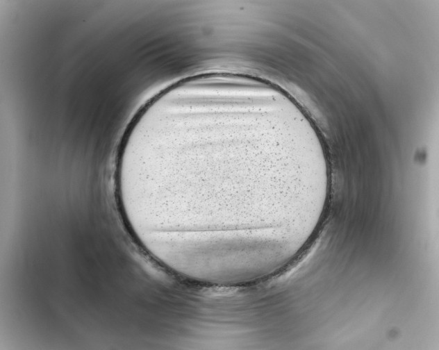 X0000103160846200809192052