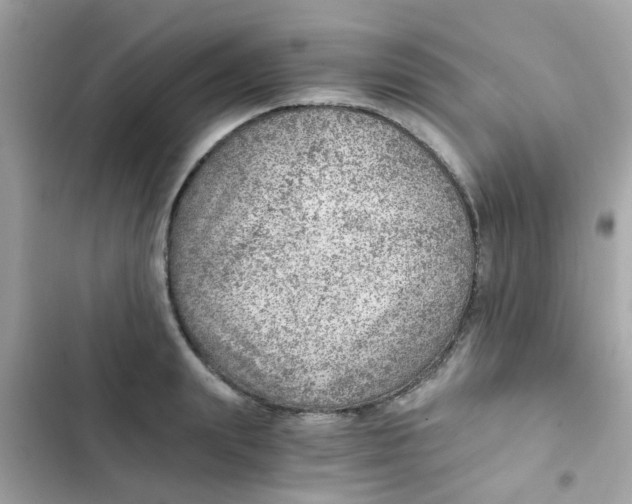 X0000103160847200809192052