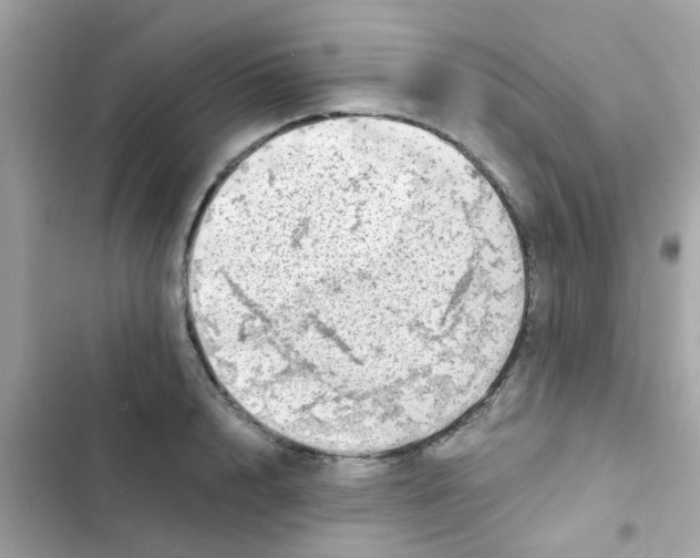 X0000103160848200809192052