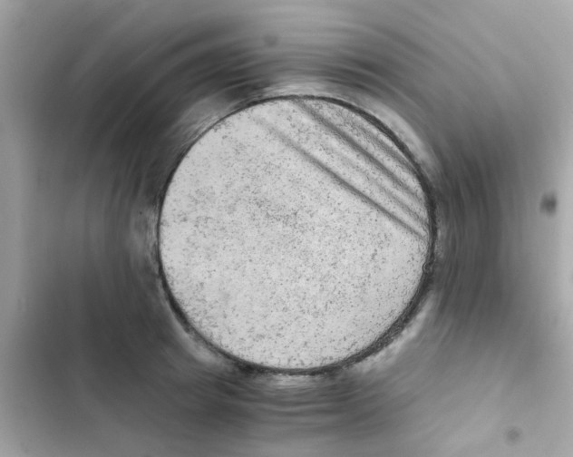 X0000103160849200809192052