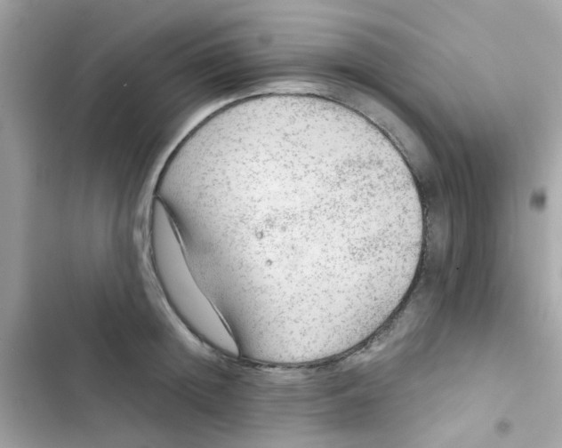 X0000103160852200809192052