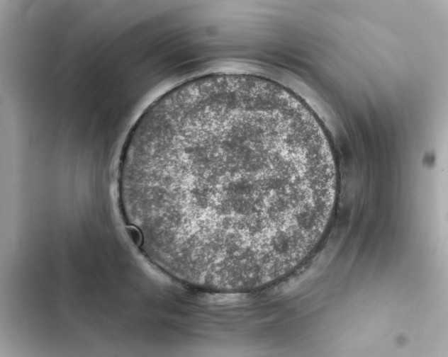X0000103160853200809192052