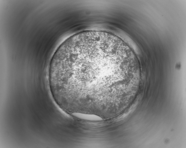 X0000103160855200809192052