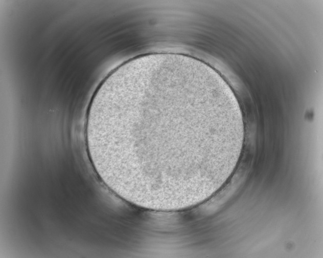 X0000103160856200809192052