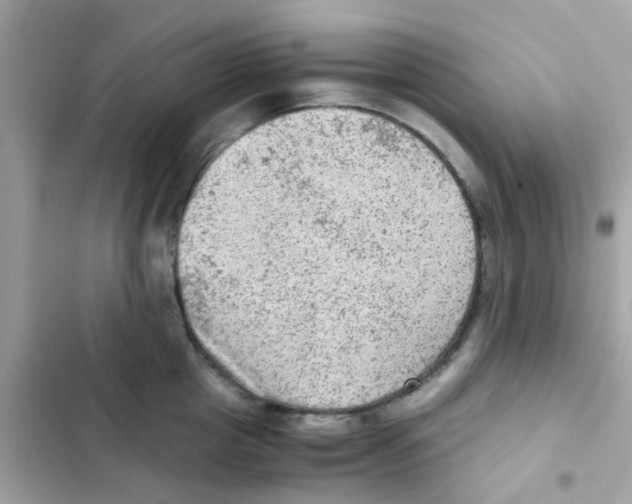 X0000103160857200809192052