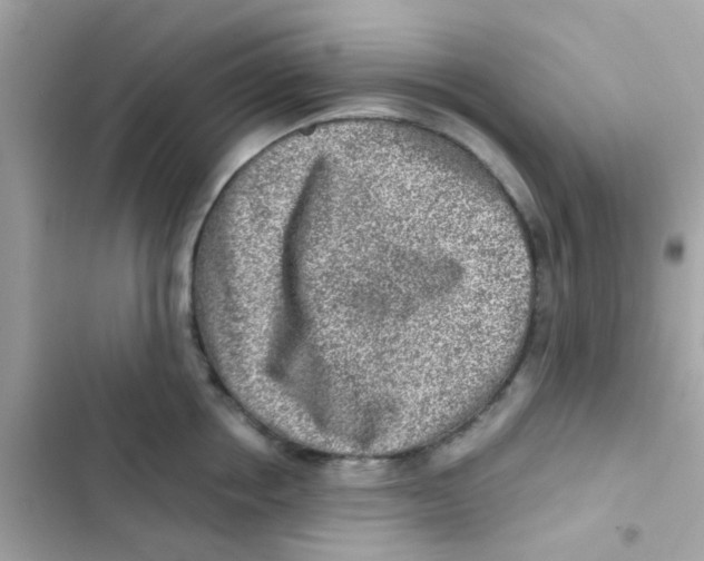 X0000103160858200809192052