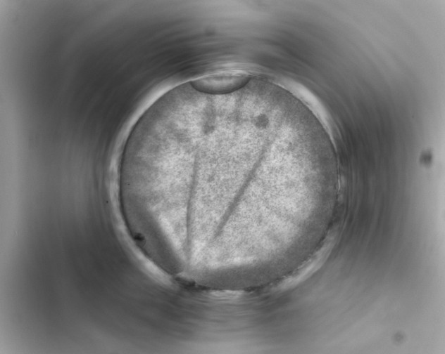 X0000103160859200809192052