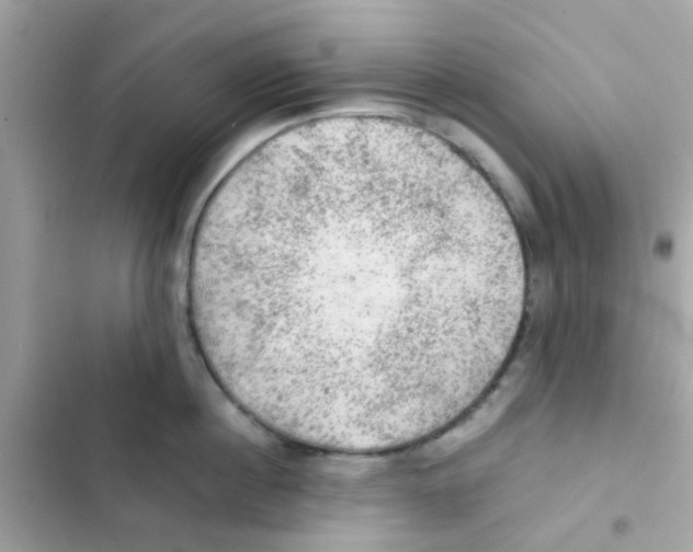 X0000103160860200809192052